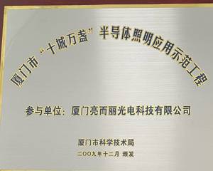 廈門市十城萬盞半導體照明應用示范工程.jpg